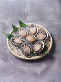 南非鮑魚 (生鮮)