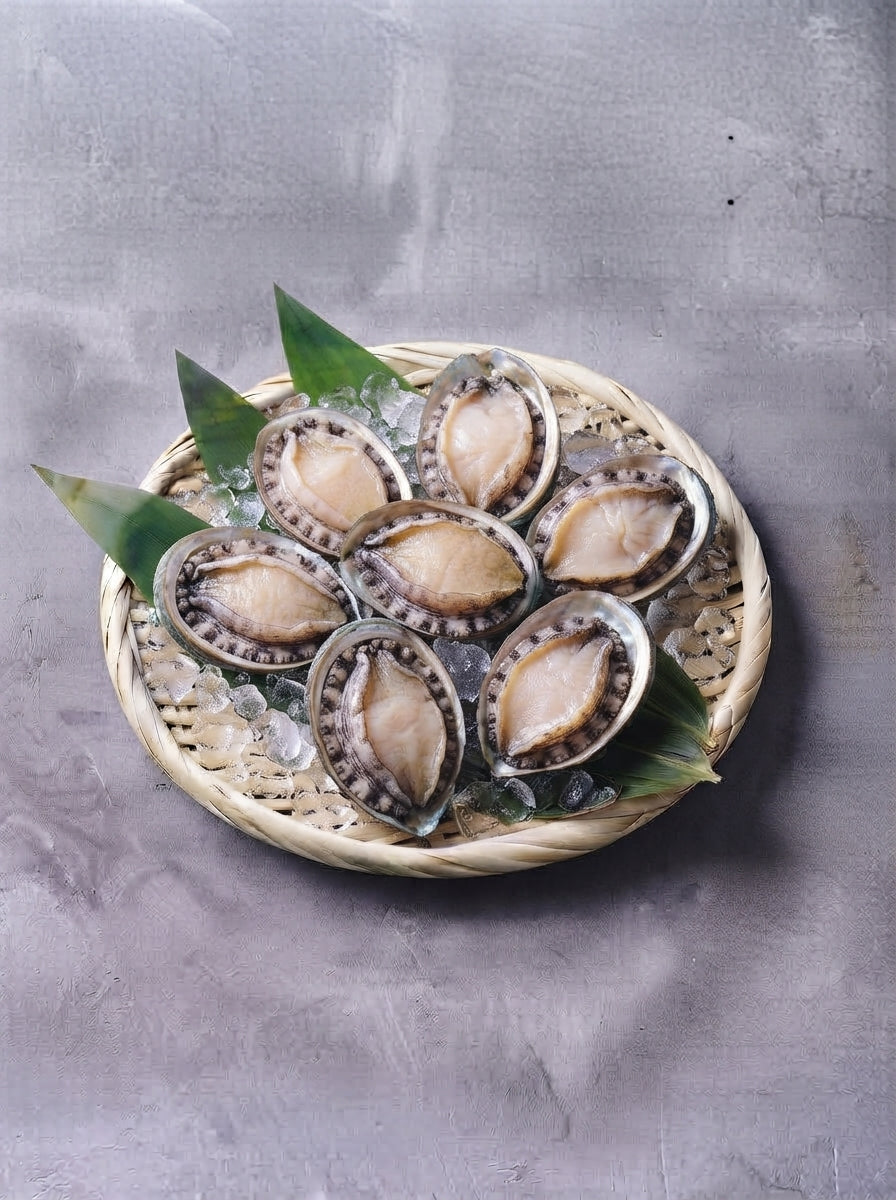南非鮑魚 (生鮮)