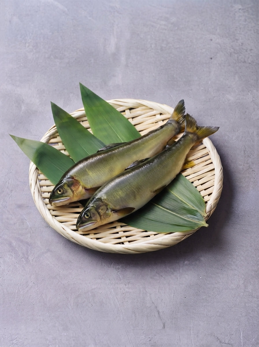 信州長野帶卵香魚 (生鮮)