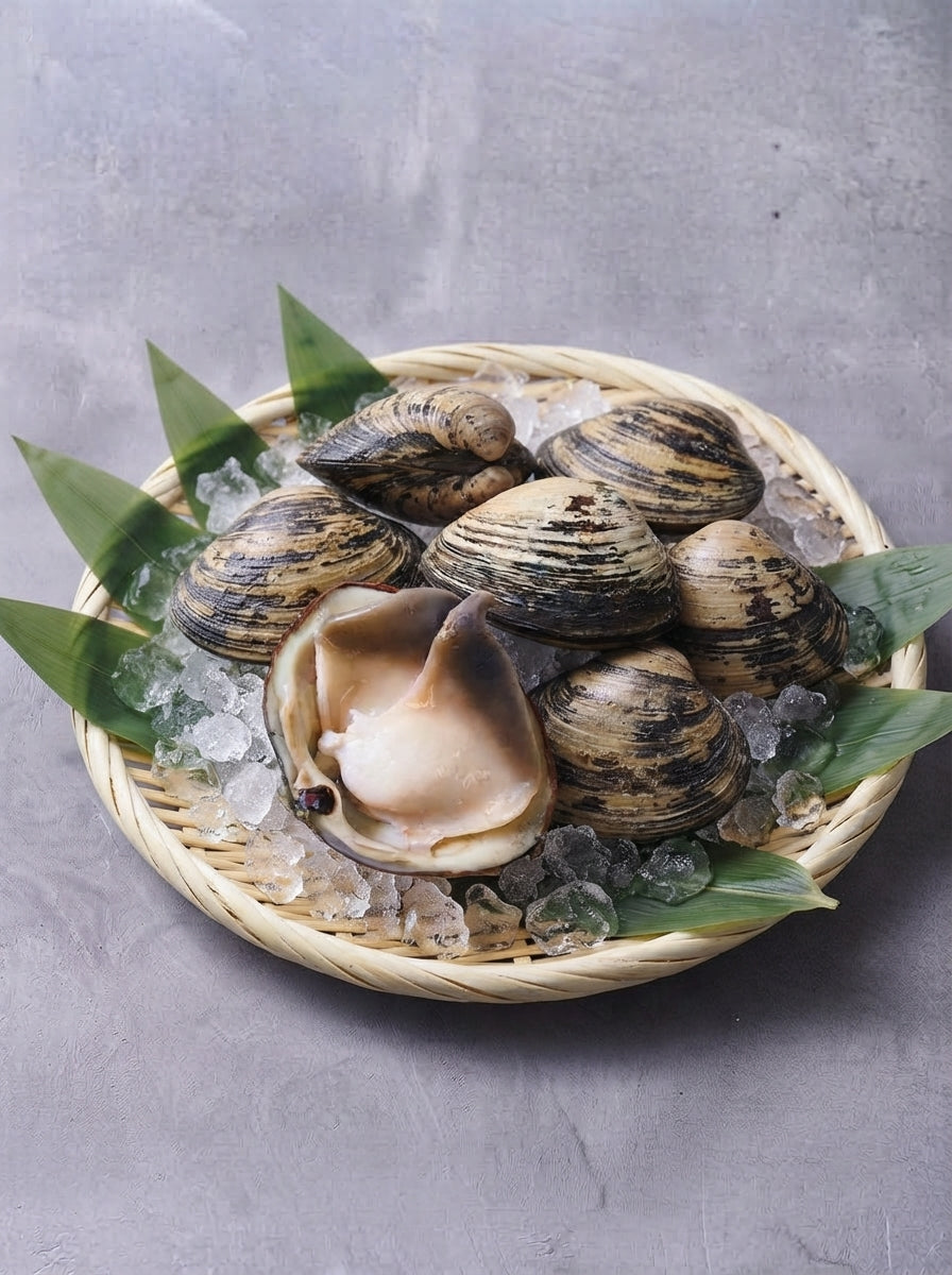北寄貝 (生鮮)