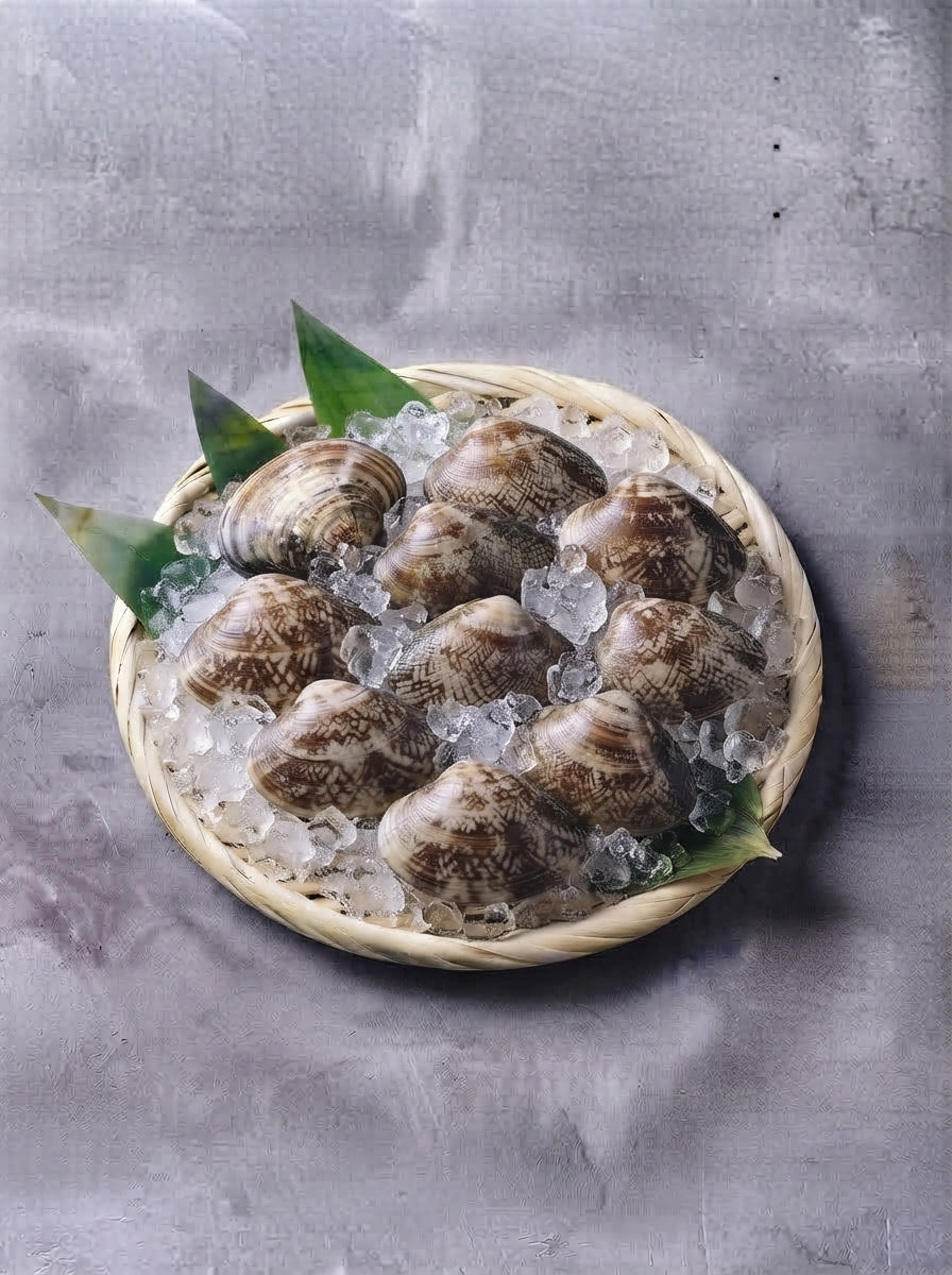 大地蛤 (生鮮)